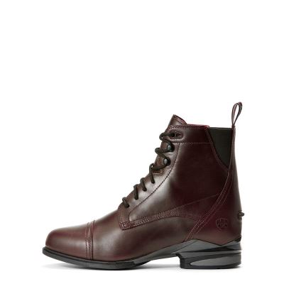 Ariat Performer Nitro Çikolata Çizme Bayan (36167-919)